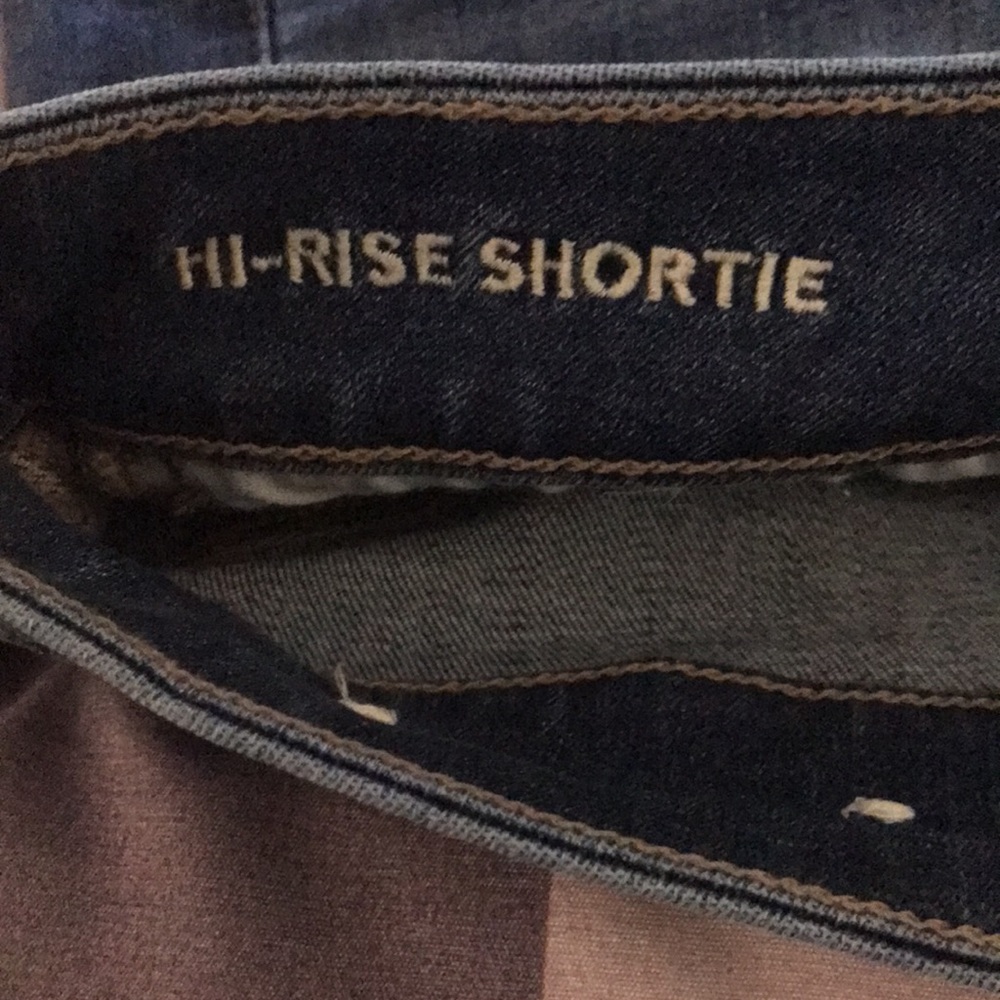 American Eagle Ne(x)t Level Curvy Shorts size 8 - Picture 6 of 6